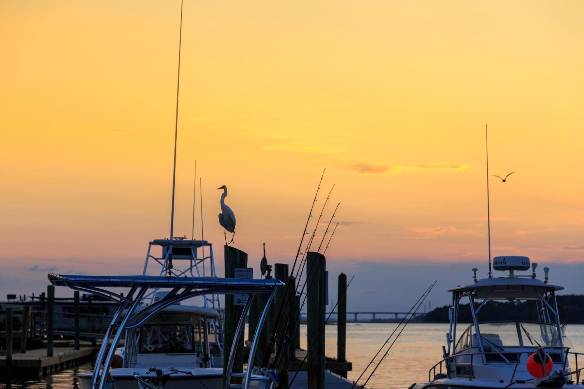 Forest Beach Villas Hilton Head Island Ruang foto
